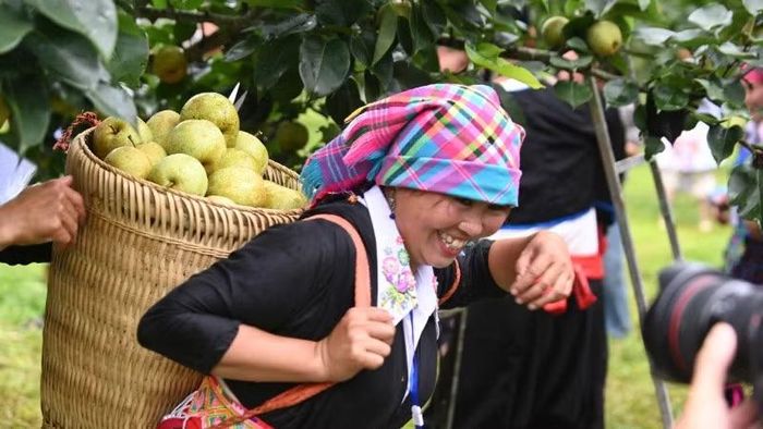 Có hơn 1.500 đơn hàng, tổng khối lượng hơn 5 tấn lê của bà con đã được bán trực tiếp thông qua livestream.
