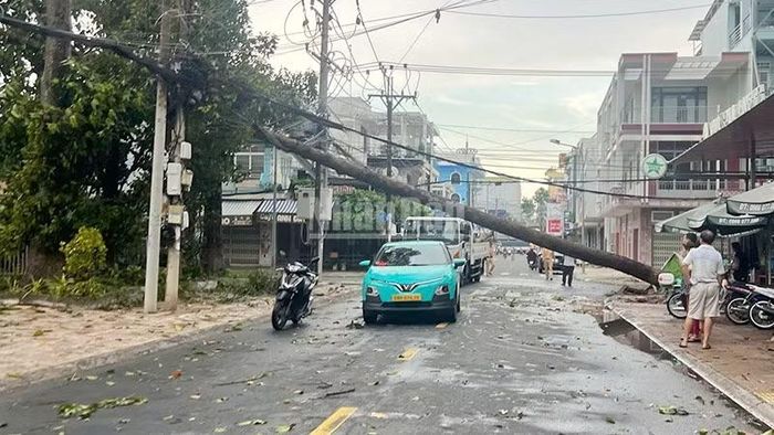 Cây gốc to ngã chắn ngang hàng rào Trường mầm non Anh Đào, phường Cao Lãnh