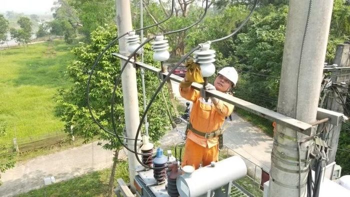 Chỉnh trang, vệ sinh, xử lý khiếm khuyết trên đường dây.