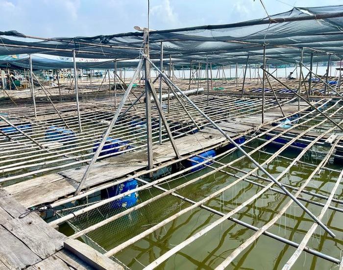 Từ mô hình nuôi truyền thống, người dân xã Long Sơn chuyển sang nuôi hàu Thái Bình Dương, tạo sinh kế bền vững và góp phần bảo vệ môi trường.