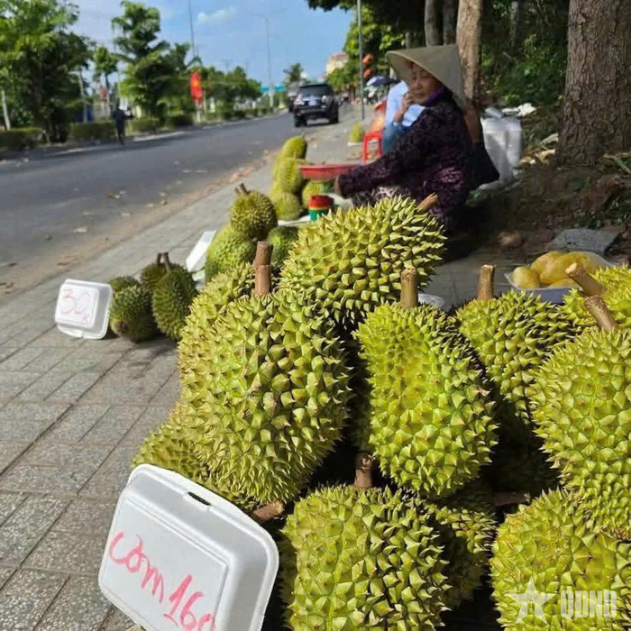  Sầu riêng cơm 160.000 đồng/kg, chuyện chưa từng xảy ra trên loài cây “triệu phú” này. 