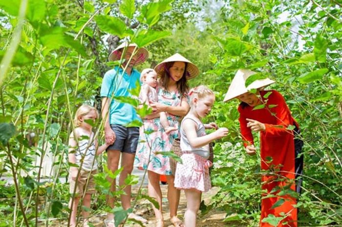 Khách quốc tế thích thú tham quan vườn dâu Mã Châu.