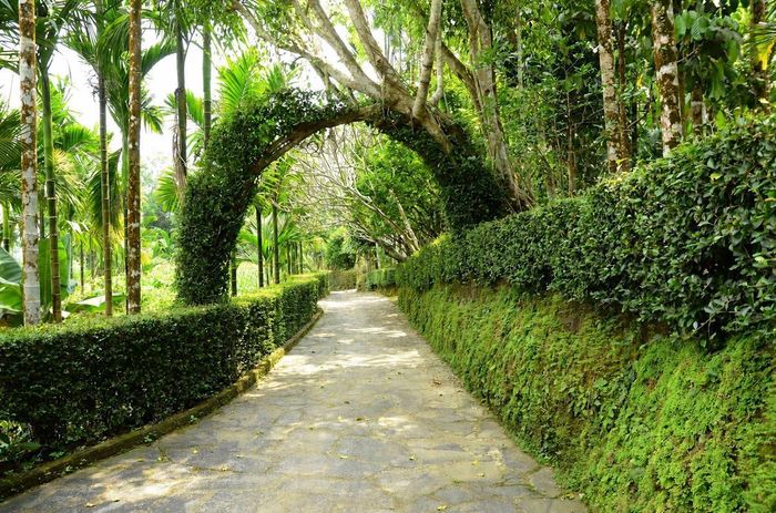 Những ngõ đá rêu phong mang nét đặc trưng ở làng quê Sơn Cẩm Hà.