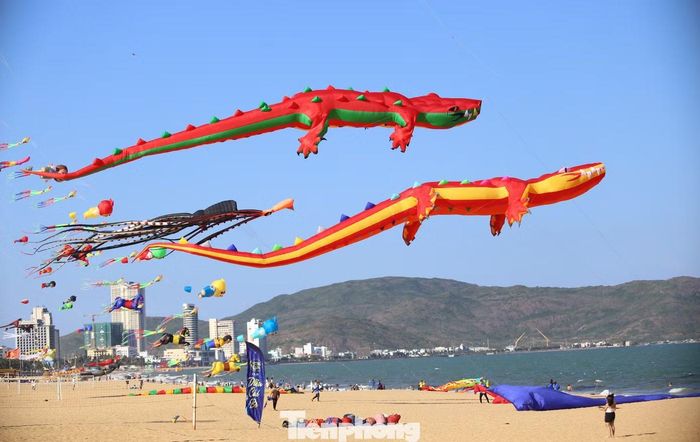 Diều cá sấu dài hơn 30m tung bay trên bầu trời biển Quy Nhơn.