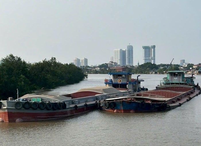 Các phương tiện chở cát san lấp không có giấy tờ, nguồn gốc hợp pháp.