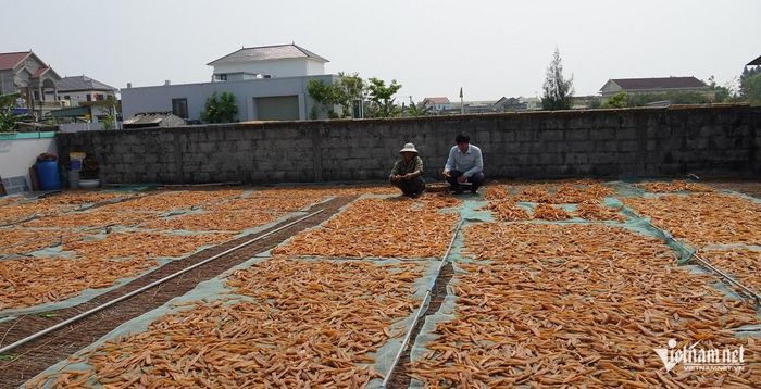 Địa phương có khoảng 500 hộ dân tham gia trồng và chế biến khoai deo, tập trung chủ yếu tại thôn Tân Định. Ảnh: L.C