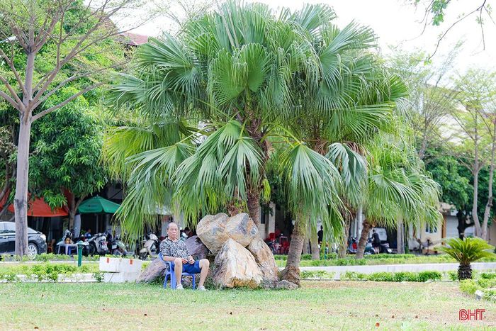 Khi chiều xuống, gió từ mặt hồ kết hợp cùng bóng cây xanh tạo nên không gian thoáng đãng, thu hút đông đảo người dân đến vui chơi, tập thể dục.