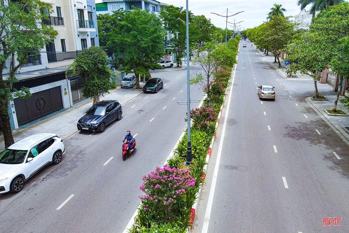 Hàng cây xanh dọc những tuyến phố góp phần giảm đi sự oi bức của ngày hè.