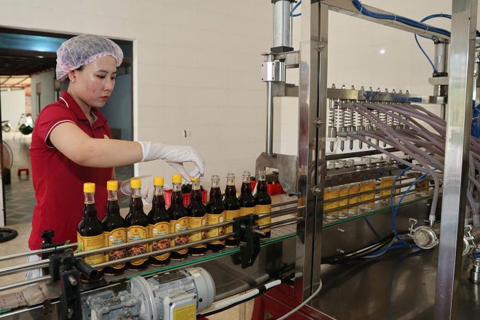 HTX Thu mua và Chế biến thủy hải sản Chiến Thắng (phường Hải Ninh) tiếp tục đầu tư hệ thống đóng chai, dán nhãn tự động, góp phần nâng cao năng suất và tính chuyên nghiệp trong sản xuất.