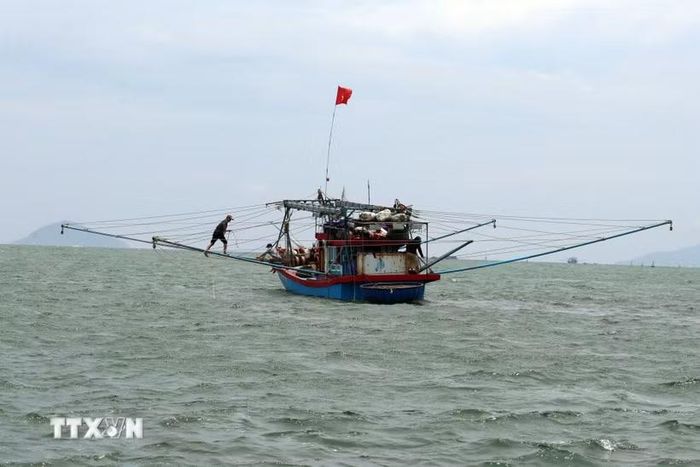 Tàu đánh cá trên biển. (Ảnh: Đỗ Trưởng/TTXVN)