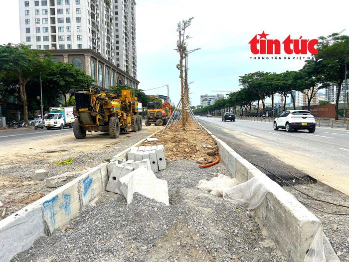 Sau khi thi công tuyến cống hộp, lớp đất tại dải phân cách giữa đường Võ Chí Công chỉ dày khoảng 80cm, không phù hợp trồng cây lớn (đại mộc).