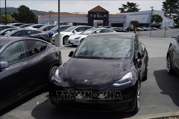 Đại lý của Tesla ở California, Mỹ. Ảnh: THX/TTXVN