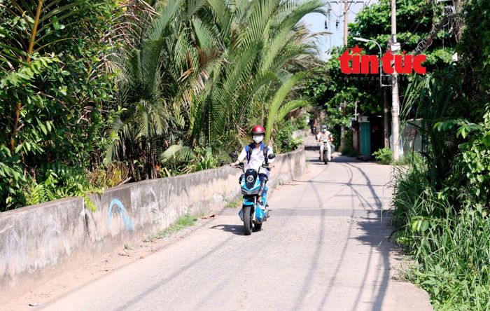 Theo nhiều người dân sinh sống tại phường Bình Quới, cứ vào mùa mưa kết hợp với các đợt triều cường, khu vực này thường xuyên rơi vào tình trạng ngập sâu, gây nhiều khó khăn cho sinh hoạt và đi lại.