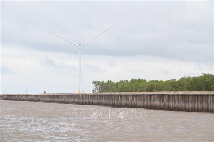 Các dự án điện gió tại Cà Mau đang được vận hành hiệu quả, góp phần bổ sung nguồn điện năng cho hệ thống điện quốc gia. Ảnh: Chanh Đa/TTXVN