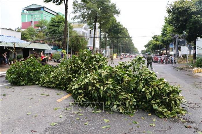 Cây xanh ngã đổ chắn ngang một đoạn đường Đặng Văn Bình. Ảnh: Hồng Thái/TTXVN