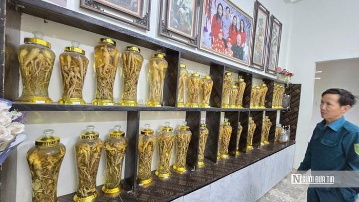 Ông Nam bên những bình rượu ngâm sâm Báo do gia đình trồng.