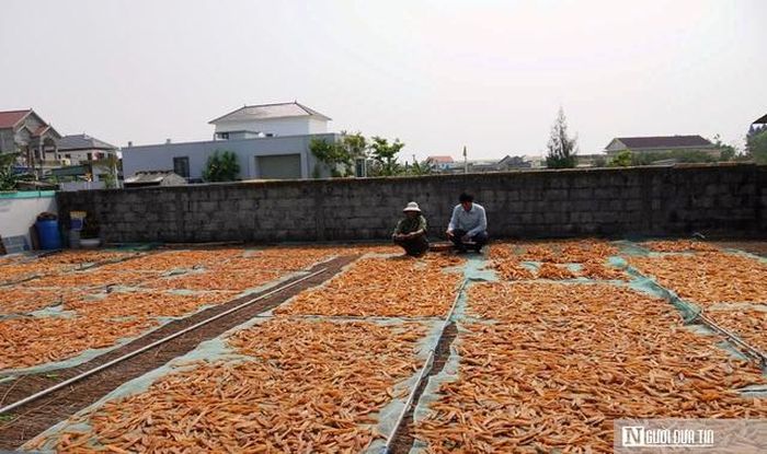 Những ngày thời tiết thuận lợi, người dân ưu tiên phơi nắng tự nhiên để giữ màu sắc đẹp và hương vị đặc trưng.