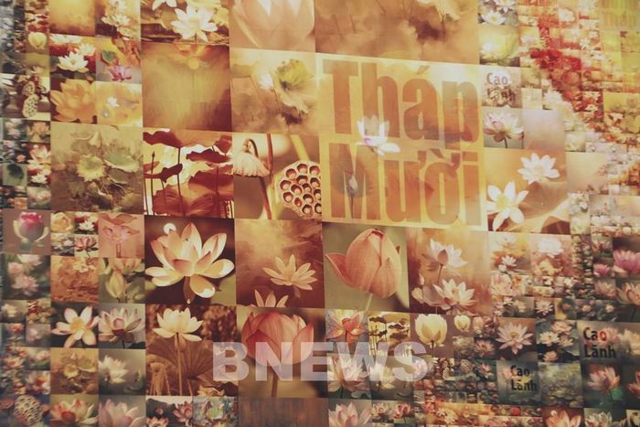 Tác phẩm được tạo nên từ hình ảnh hơn 15.000 đóa hoa sen. Ảnh: Hồng Thái-TTXVN