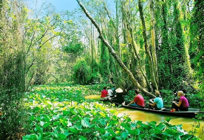 Du khách tham quan Khu du lịch Xẻo Quýt. 