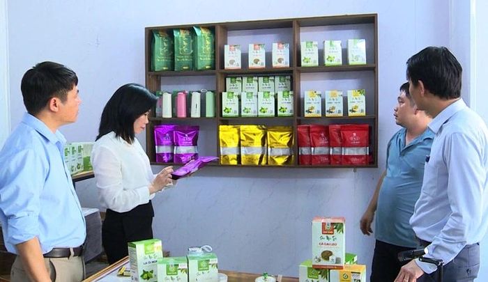 Các sản phẩm “Sơn mộc trà lá ổi non” và “Sơn Mộc Trà gừng - tía tô” của Công ty CP kinh doanh và sản xuất Anh Khôi, xã Hợp Tiến đạt chuẩn OCOP 3 sao.
