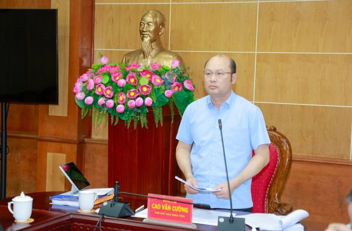 Phó Chủ tịch UBND tỉnh Cao Văn Cường phát biểu kết luận hội nghị.