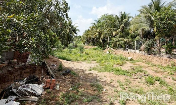 Trong ngày 19-6, Ban Quản lý dự án đầu tư xây dựng công trình giao thông tỉnh Đồng Tháp đã phối hợp với các đơn vị liên quan, nhà thầu bàn giao mốc giải phóng mặt bằng Dự án Đường phát triển vùng Đồng Tháp Mười giai đoạn 1.