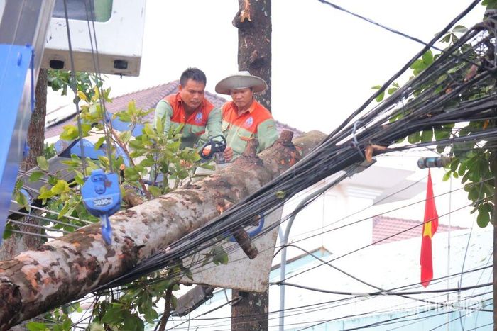 Lực lượng kỹ thuật xử lý cây xanh đổ ngã đè lên hệ thống dây điện, cáp viễn thông tại khu vực trung tâm phường Cao Lãnh.