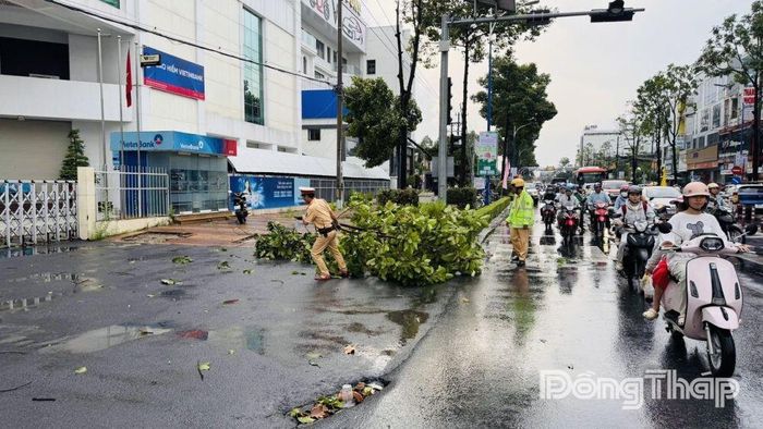 Lực lượng Cảnh sát giao thông điều tiết phương tiện, xử lý cây xanh gãy đổ nhằm bảo đảm giao thông thông suốt sau trận dông lốc, chiều ngày 20-6 .