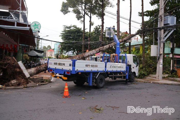 Phương tiện chuyên dụng được huy động để cắt tỉa, di dời cây xanh bật gốc, bảo đảm an toàn giao thông và hạ tầng kỹ thuật tại khu vực Trường Mầm non Anh Đào, phường Cao Lãnh.