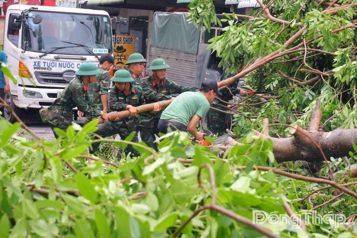 Cán bộ, chiến sĩ Lực lượng vũ trang phối hợp cùng các đơn vị chức năng thu dọn cây xanh ngã đổ, giải phóng mặt đường tại khu vực đường Nguyễn Thái Học, phường Cao Lãnh.