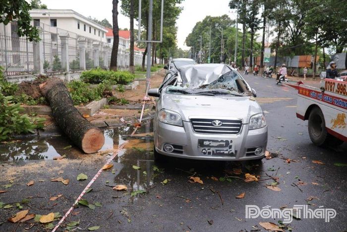 Xe ô tô bị hư hỏng do cây xanh bật gốc đổ trúng trong trận dông lốc xảy ra trên địa bàn phường Cao Lãnh, chiều ngày 20-6.