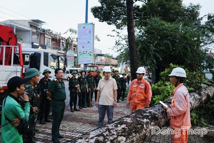 Ngay trong chiều 20-6, các lực lượng Quân sự, Điện lực và đơn vị liên quan khẩn trương khắc phục hậu quả dông lốc trên địa bàn phường Cao Lãnh.