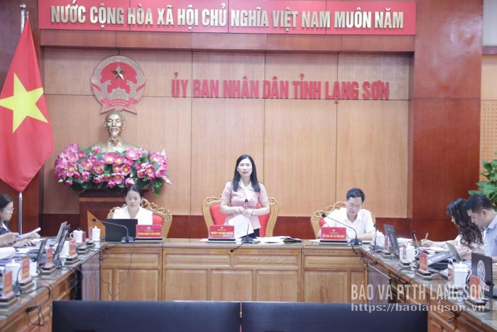 Đồng chí Trần Thanh Nhàn, Phó Chủ tịch UBND tỉnh phát biểu kết luận cuộc họp