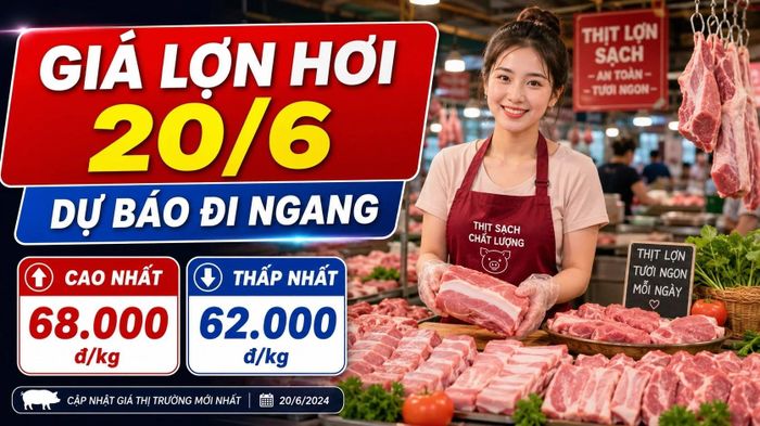 Cập nhật giá lợn hơi 3 miền sáng 20/6/2026. Hình minh họa