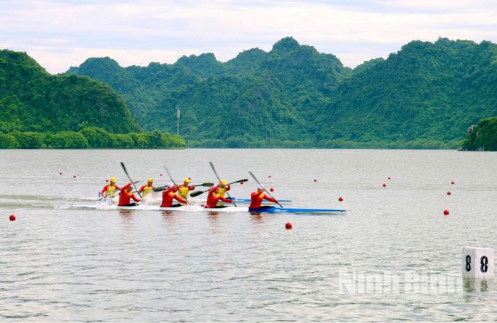 Các vận động viên thi đấu thuyền 4 ở cự ly 1.000m.