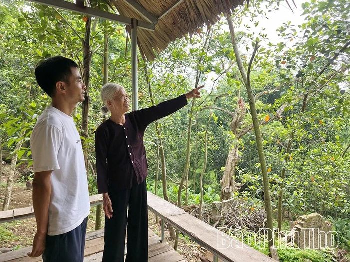 Bà Vũ Thị Khiêm bên khu vườn 15ha - nơi bà dành trọn cuộc đời bảo tồn đàn cò quý giá.