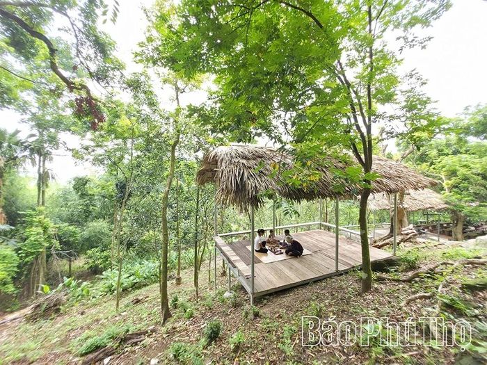 Chị Nguyễn Ngọc Hiên cải tạo khu vườn thành điểm trải nghiệm xanh, vừa bảo tồn thiên nhiên vừa giúp bà giảm bớt gánh nặng kinh tế.