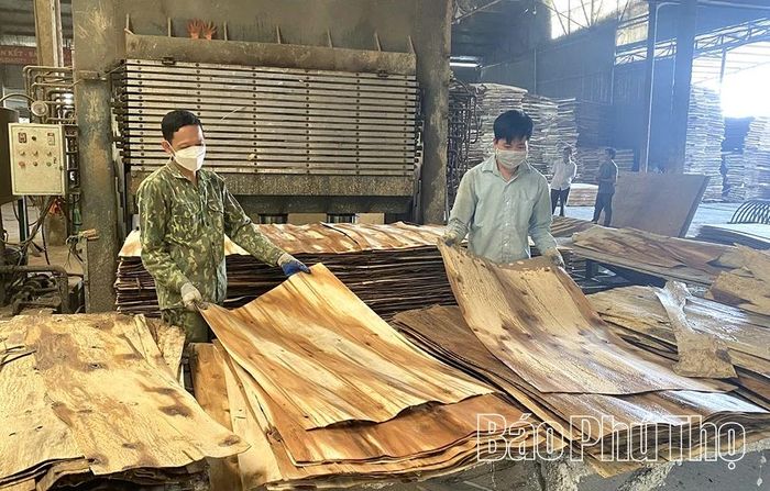 Hoạt động sản xuất tại cơ sở gỗ ép tư nhân góp phần thúc đẩy phát triển kinh tế địa phương.