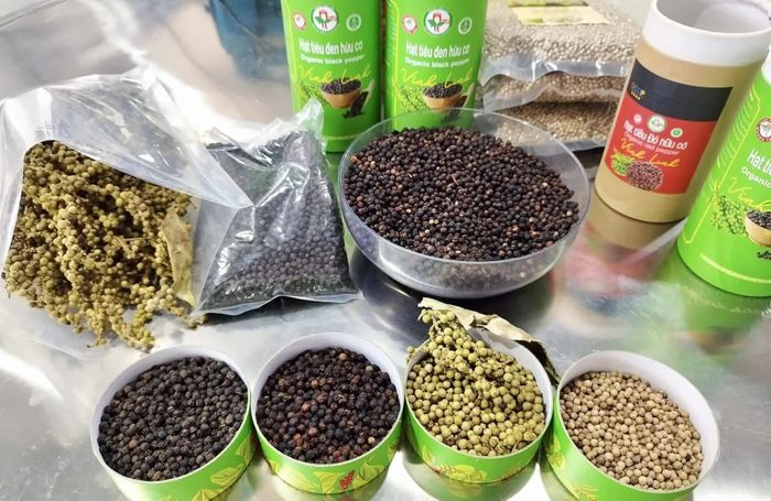 Hạt tiêu đỏ hữu cơ Vĩnh Linh đạt chất lượng Ocop 4 sao - Ảnh: M.H