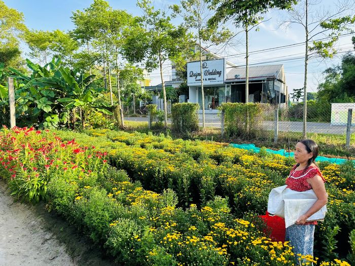  Hầu như nhà nào ở Giang Đông cũng có một vườn hoa