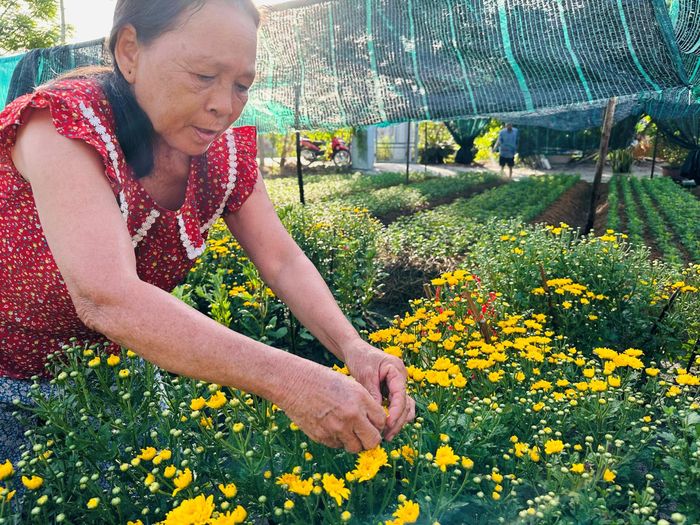 Tỉ mỉ chăm sóc hoa 