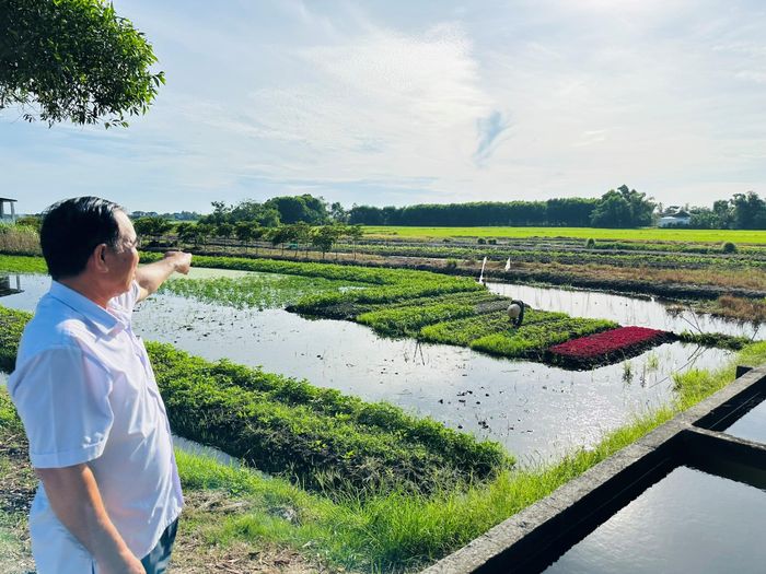 Vùng trồng hoa tập trung rộng 2ha tại Giang Đông 