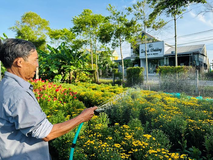  Tưới nước mỗi ngày, công đoạn quan trọng giúp những luống hoa sinh trưởng, phát triển tốt 