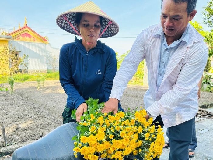 Vợ chồng ông Nguyễn Đình Huệ tất bật vận chuyển hoa lên xe để kịp mang ra chợ truyền thống tiêu thụ 