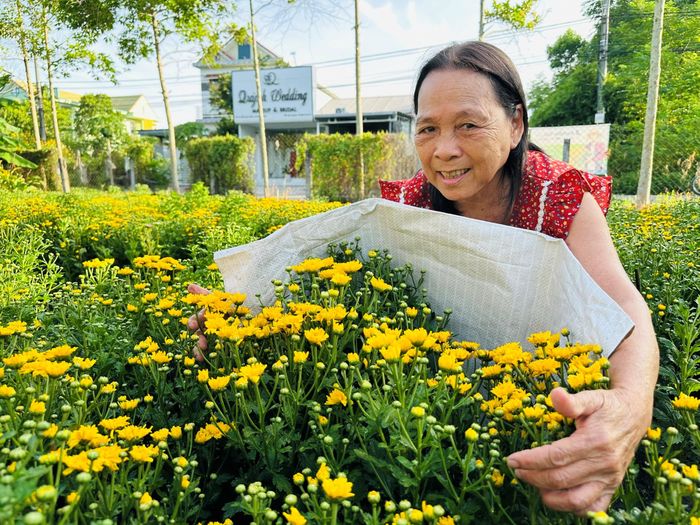  Niềm vui hiện rõ trên gương mặt người dân khi những mùa hoa tiếp tục mang lại nguồn thu nhập ổn định