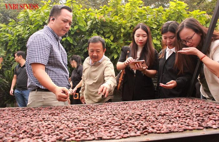 Đôi khi một bài báo hay không bắt đầu từ câu hỏi phỏng vấn, mà từ những hạt cacao phơi nắng đang lặng lẽ chờ bước vào thùng ủ lên men.