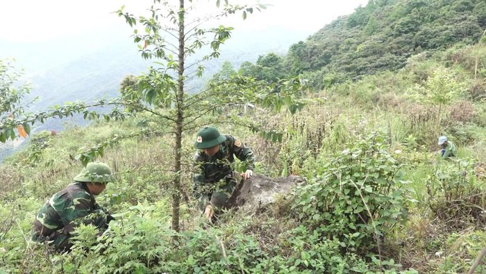 Bộ đội Biên Phòng Thanh Hóa đồng hành cùng người dân mở hướng thoát nghèo nơi biên giới.