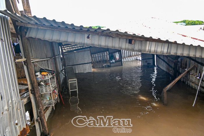 Phần nhà phía sau của gia đình ông Phùng Thanh Hiệp bị sụp xuống sông do sạt lở.