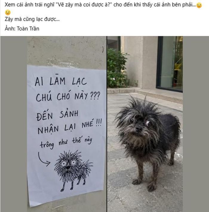 Chia sẻ nhận về hàng nghìn lượt thích trên mạng xã hội.