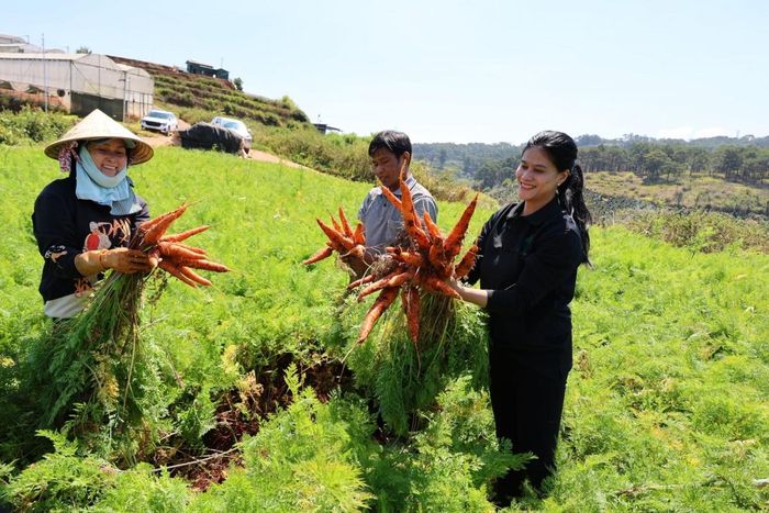 Phát triển nông nghiệp hữu cơ cần bắt đầu từ những vùng sản xuất thật, nơi người nông dân là chủ thể và tiêu chuẩn được thực thi trong từng quy trình canh tác.